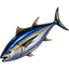 Bluefin Tuna