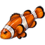 Clownfish