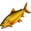 Golden Dorado
